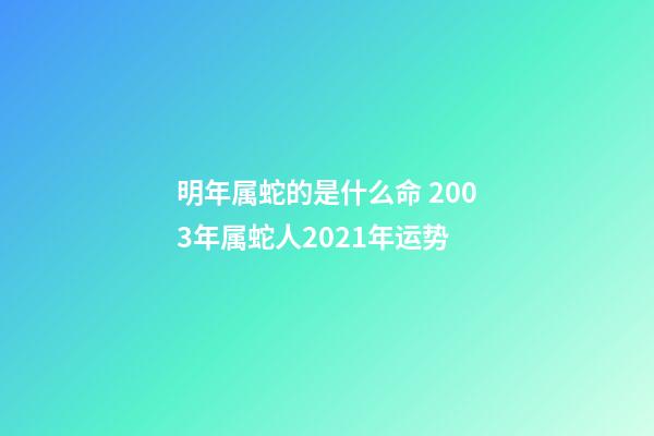 明年属蛇的是什么命 2003年属蛇人2021年运势-第1张-观点-玄机派